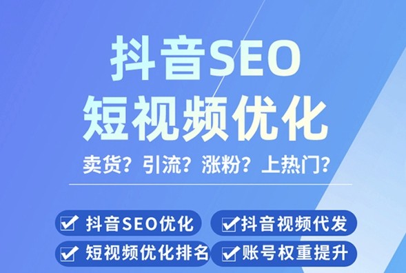 seo短視頻網(wǎng)頁入口引流.png