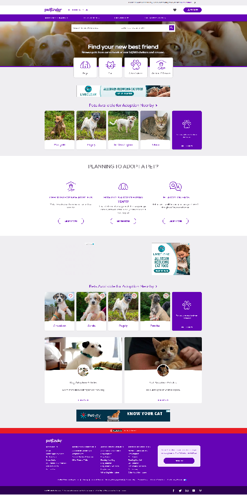 寵物網站建設.png